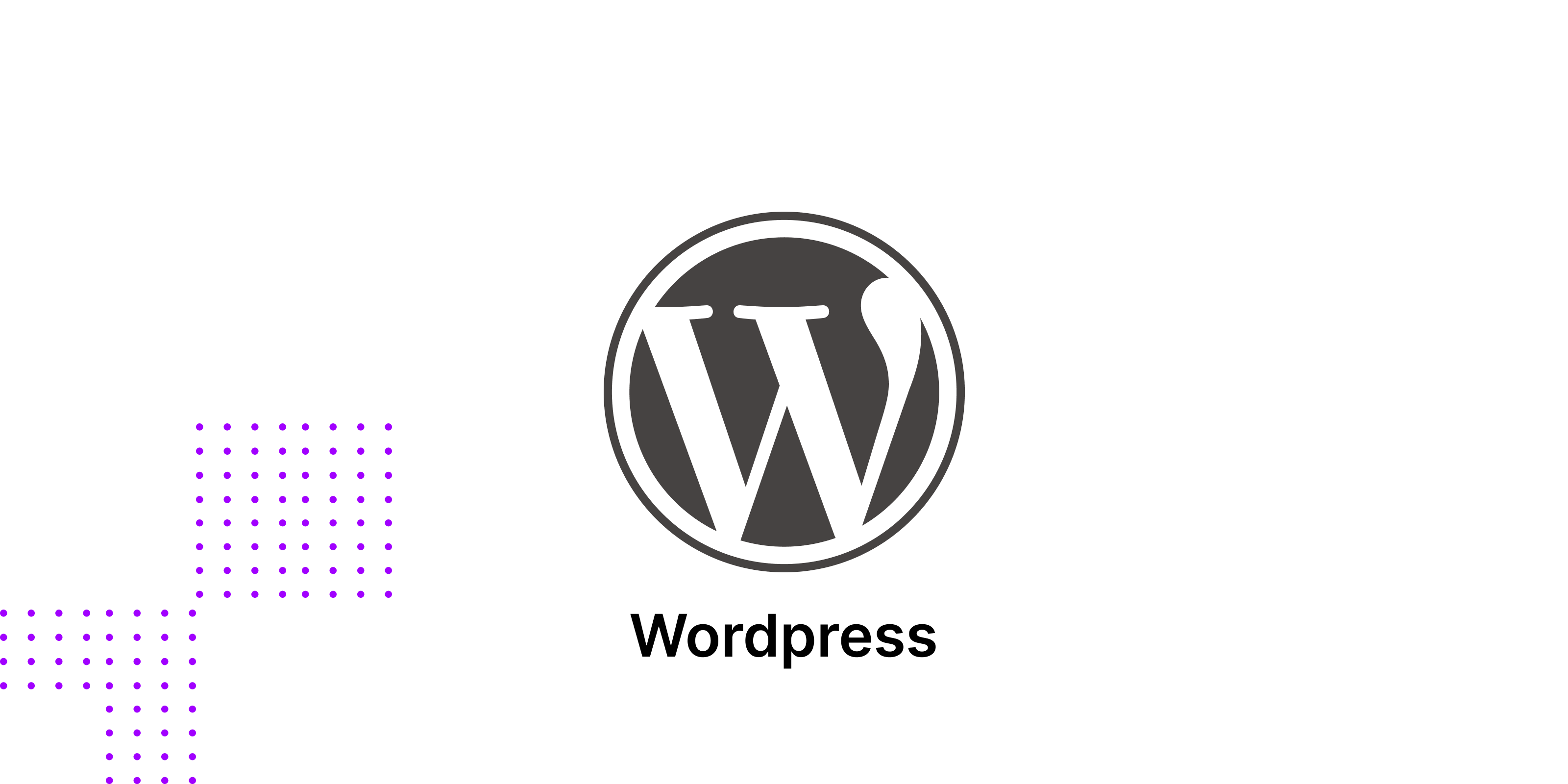 a feature image for a very famous CMS ( Wordpress) for a website